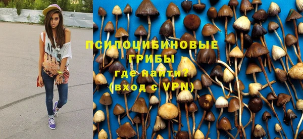 мескалин Вяземский