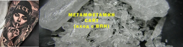 прущие грибы Горняк