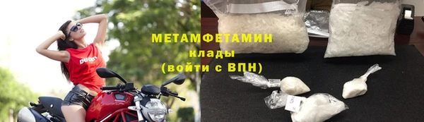 прущие грибы Горняк