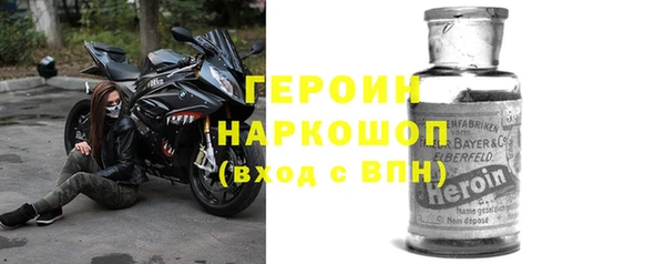 прущие грибы Горняк