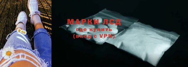 прущие грибы Горняк