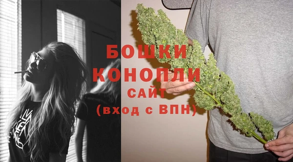 СК Горнозаводск
